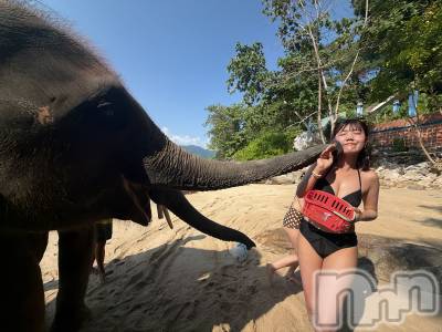 ����������ʥå��������륺�С����󥻥ץȥ��ե� ���ˤޤ����(���󥻥ץȥ��ե����˥ޥ륭�奦�ǥ�) ����6��30���̥�֥�����̤�����̿�🔞🔞��
