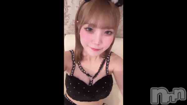 216 2146ʬΥ֥