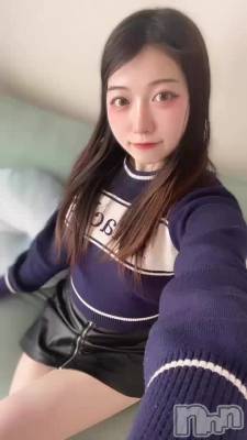 ʤݤݤ