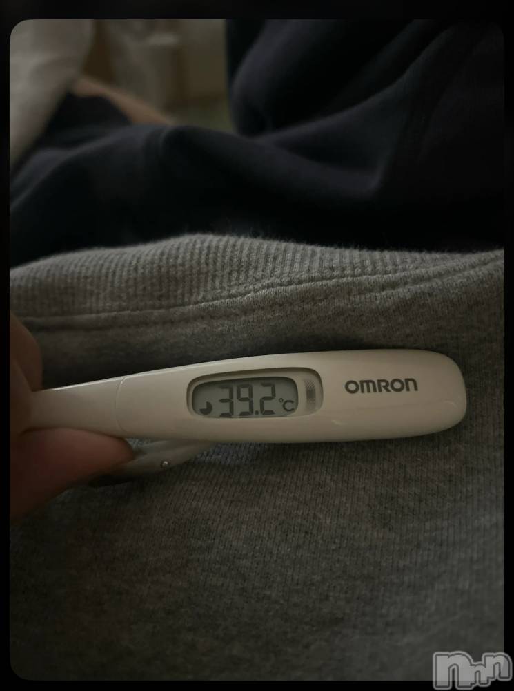 Ĺʥå륺Сѥ ¤þе-ä礤-(եѥ å祤) ꤵ114̥֥֥ե륨󥶡ġ