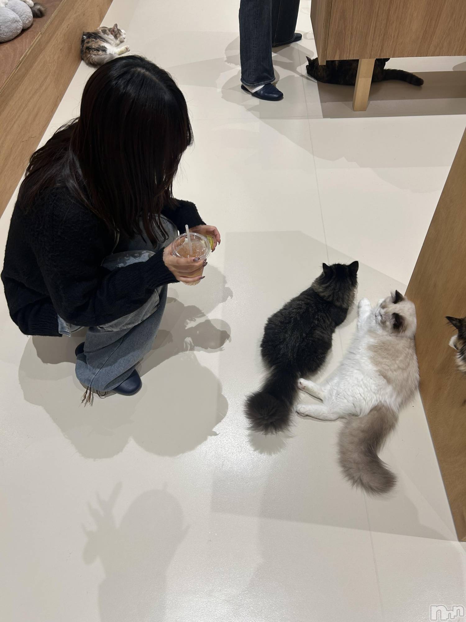 Ĺʥå륺Сѥ ¤þе-ä礤-(եѥ å祤) 2025ǯ124̥֥֤ˤ㡼