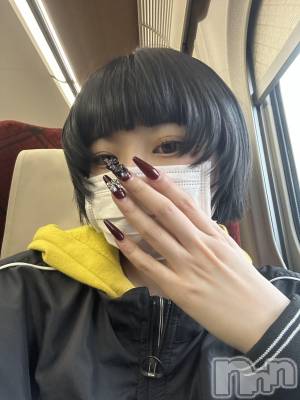 Ĺʥå륺Сѥ ¤þе-ä礤-(եѥ å祤) ꤵ43̥֥ȱڤä˥
