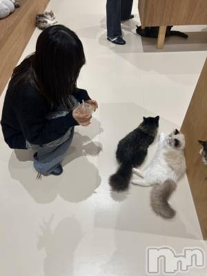 Ĺ��ʥå��������륺�С������ѥ� �¤þе�-��ä��礤-(��ե��ѥ� ��å��祤) �ꤵ��12��4���̥�֥����֤ˤ㡼��