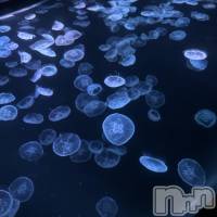 Ĺ��ԥ��ʥå��������륺�С� ���פꥹ�ʥå�����ä��礤(���ޥĥꥹ�ʥå�����å��祤) �ꤵ�β���(2����)