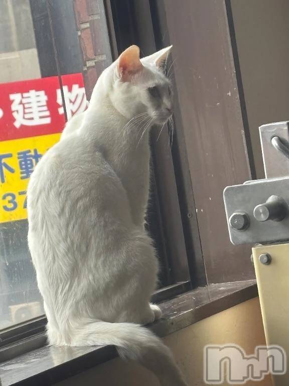 新潟デリヘル新潟市鳥屋野潟ちゃんこ(ニイガタシトヤノガタチャンコ) れい(20)の5月3日写メブログ「久しぶりに」