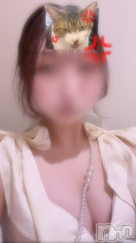 ƲХ顦151-A() Ĥ220̥֥֤塪🎀