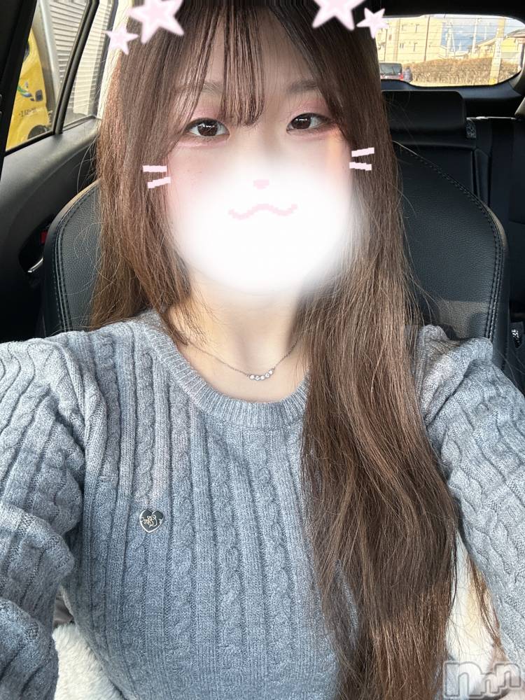 ƲХ顦151-A() Ĥ227ֽ̥֥жФǤ🎀🥂