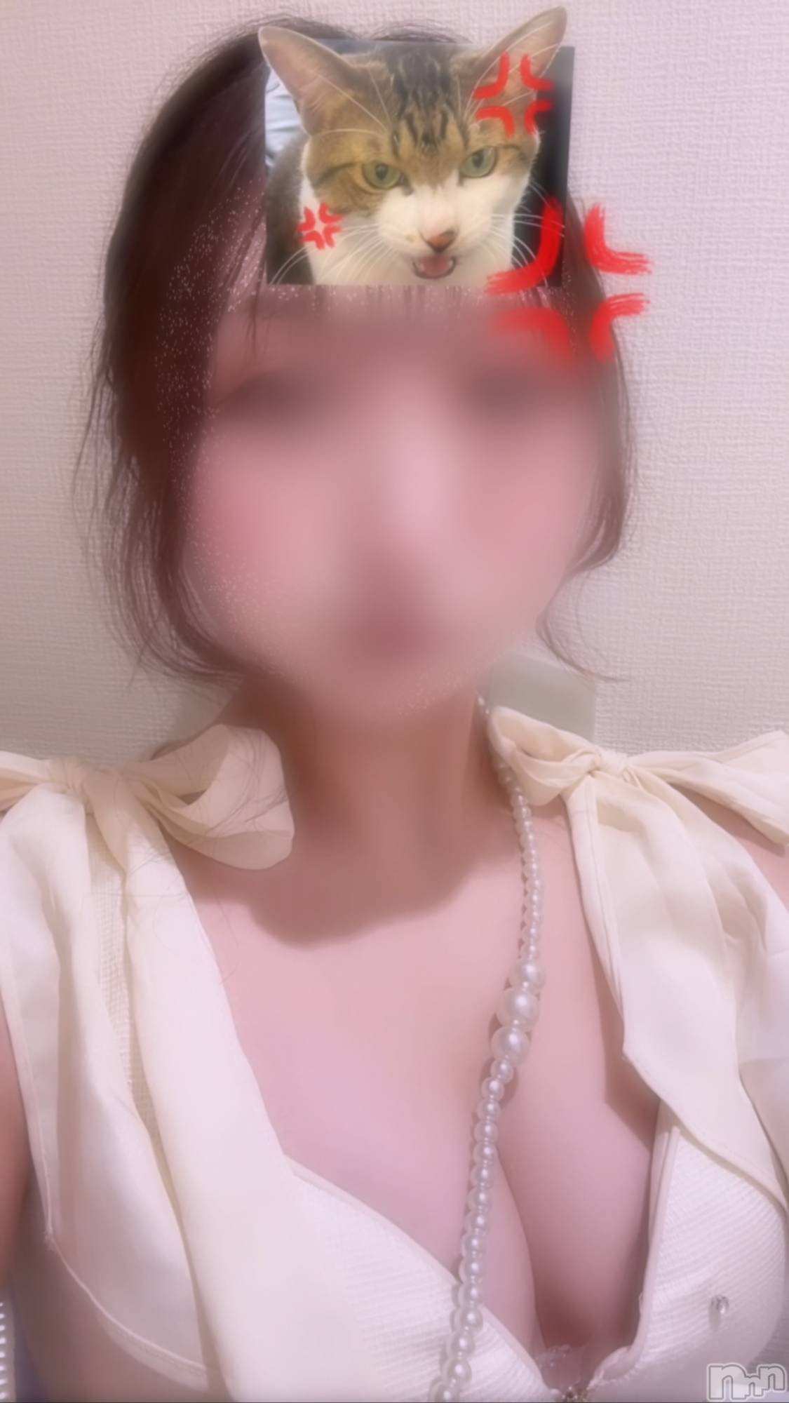 ƲХ顦151-A() 2025ǯ220̥֥֤塪🎀
