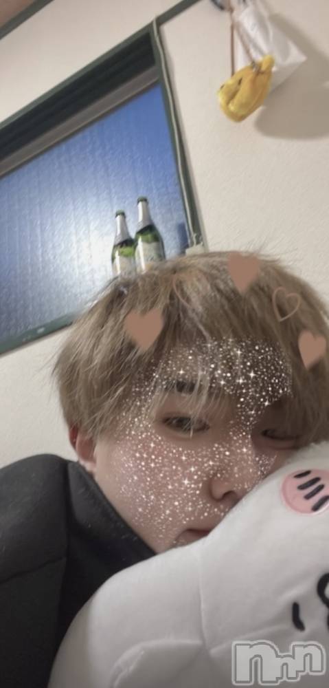 ȯ󥺥ѥ˥ɸѥ˥ Voclato-ͤ-(ܥ) ޤ225̥֥^^