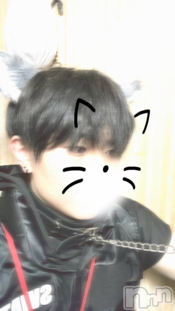 ȯ󥺥ѥ˥ɸѥ˥ Voclato-ͤ-(ܥ) ޤ34̥֥֤^^