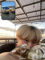 ȯ󥺥ѥ˥ɸѥ˥ Voclato-ͤ-(ܥ) ޤ(21)97̥֥äʤ͡