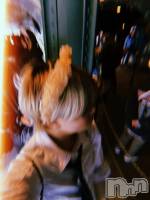 ȯ󥺥ѥ˥ɸѥ˥ Voclato-ͤ-(ܥ) ޤ(21)116ֺ̥֥Ϥ٤‼️