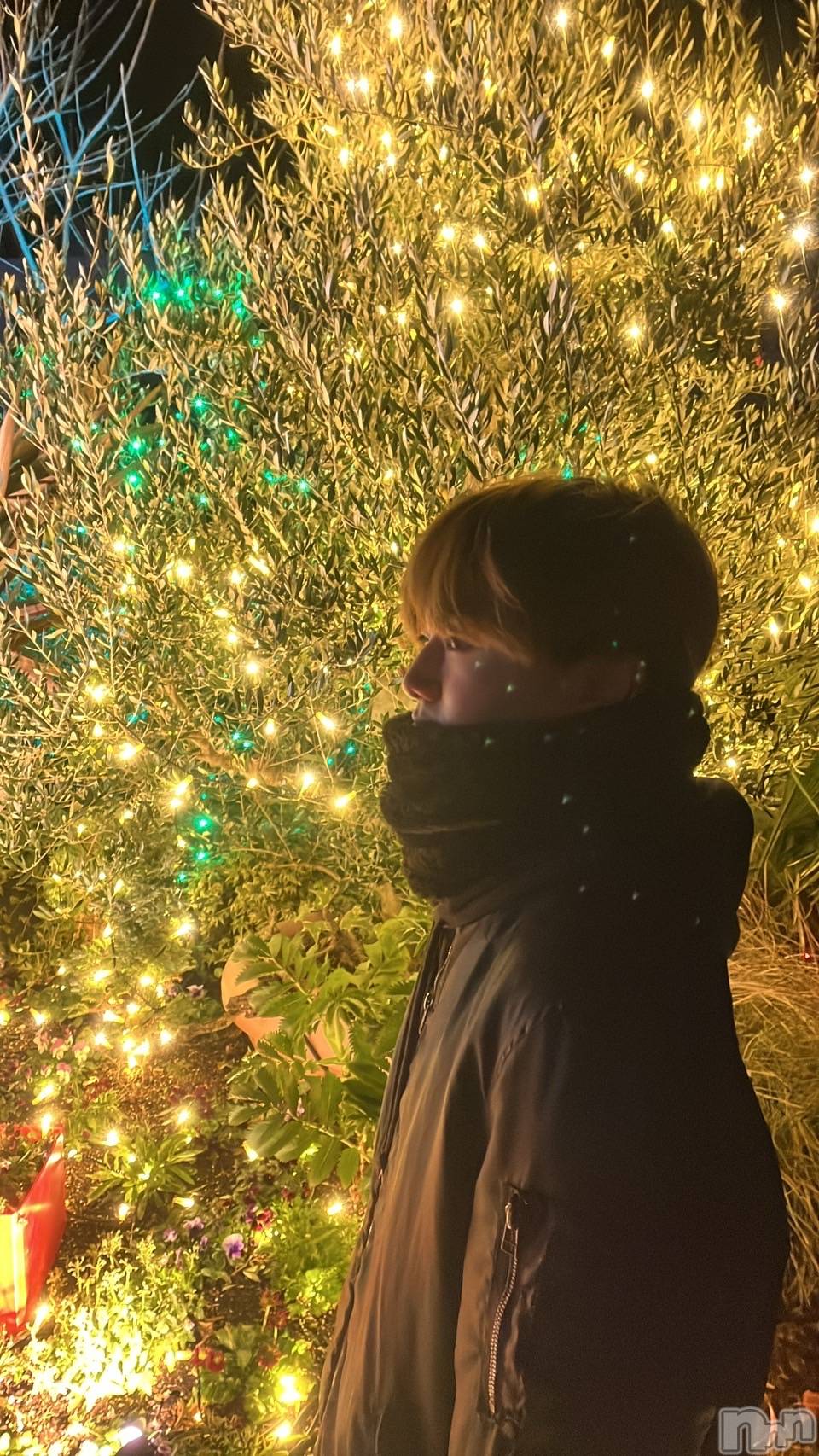 ����ȯ��󥺥���ѥ˥������ɸ�����ѥ˥��� Voclato-�ͤ��-(�ܥ����) ��2025ǯ12��24���̥�֥����֤ʤ��‼️‼️‼️‼️���祤��‼️‼️‼️‼️‼️‼️��