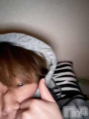 ȯ󥺥ѥ˥ɸѥ˥ Voclato-ͤ-(ܥ) ޤ(21)228̥֥֤ꡪ