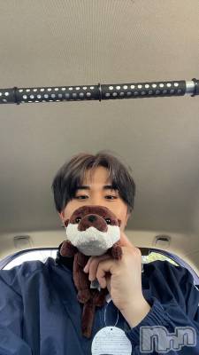 ȯ󥺥ѥ˥ɸѥ˥ Voclato-ͤ-(ܥ) ޤ(21)719̥֥֤ޤäƤޤ롪