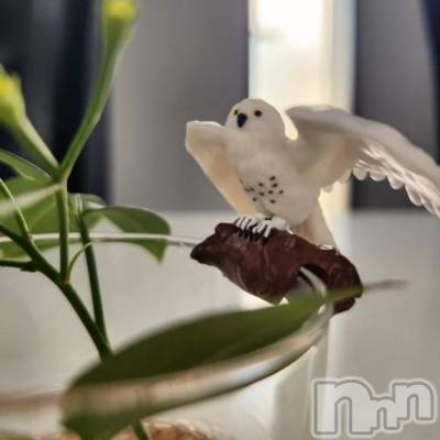 長岡デリヘル 人妻楼　長岡店(ヒトヅマロウ　ナガオカテン) りこ(39)の11月16日写メブログ「お詫び、＊」