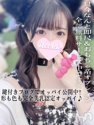 めろ(20) 身長162cm、スリーサイズB88(F).W56.H85。長岡デリヘル ROOKIE(ルーキー)在籍。