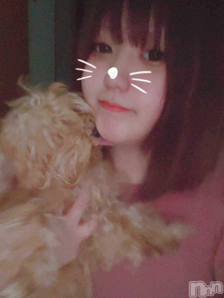 長岡人妻デリヘル奥様特急 長岡店(オクサマトッキュウナガオカテン) うみ(19)の2月14日写メブログ「仲良くなろーね⭐️」