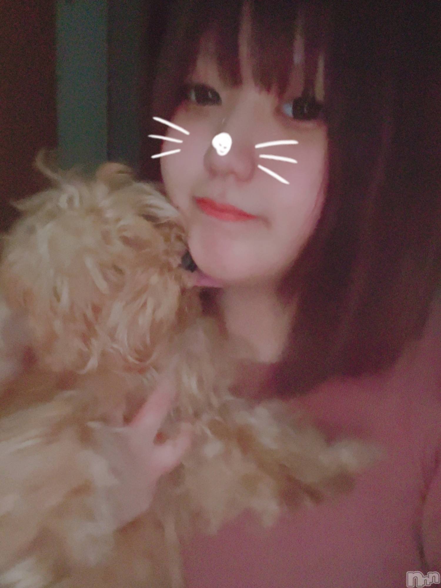 長岡人妻デリヘル奥様特急 長岡店(オクサマトッキュウナガオカテン)うみ(19)の2025年2月14日写メブログ「仲良くなろーね⭐️」