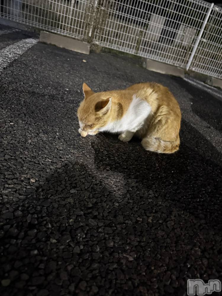 ƲХ顦clubTiara(ƥ) 󤫤1122̥֥֤