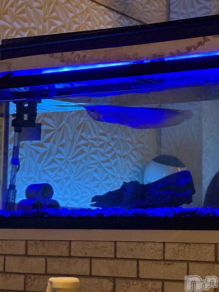 ��Ʋ����Х��顦�����clubTiara(�ƥ�����) ��󤫤�12��13���̥�֥����֤����