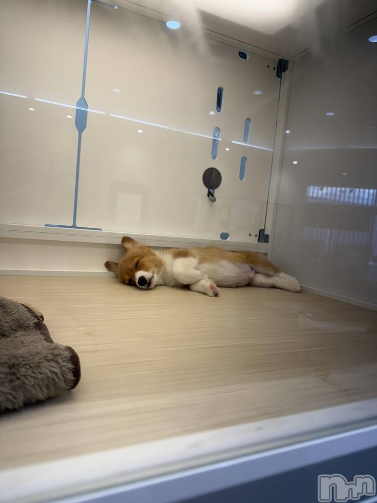 ��Ʋ����Х��顦�����clubTiara(�ƥ�����) ��󤫤�3��13���̥�֥����֤����