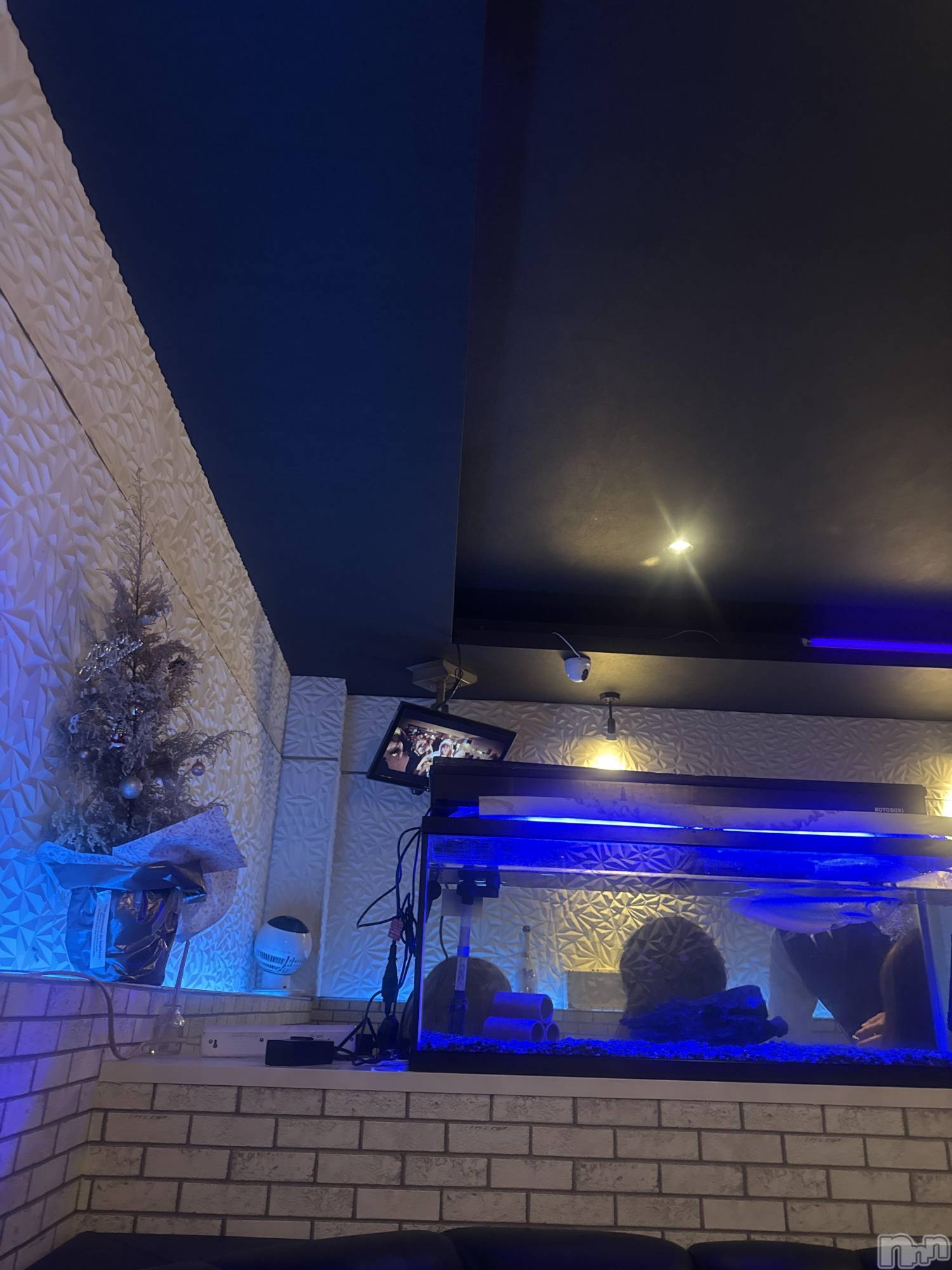 ƲХ顦clubTiara(ƥ) 2025ǯ125̥֥֤