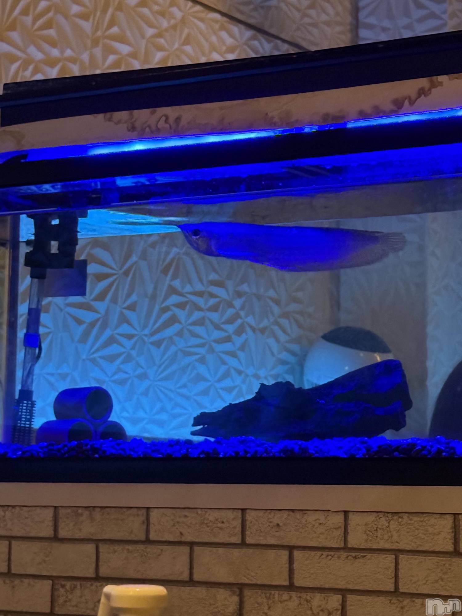 ��Ʋ����Х��顦�����clubTiara(�ƥ�����) ��2026ǯ1��12���̥�֥����֤��塼��