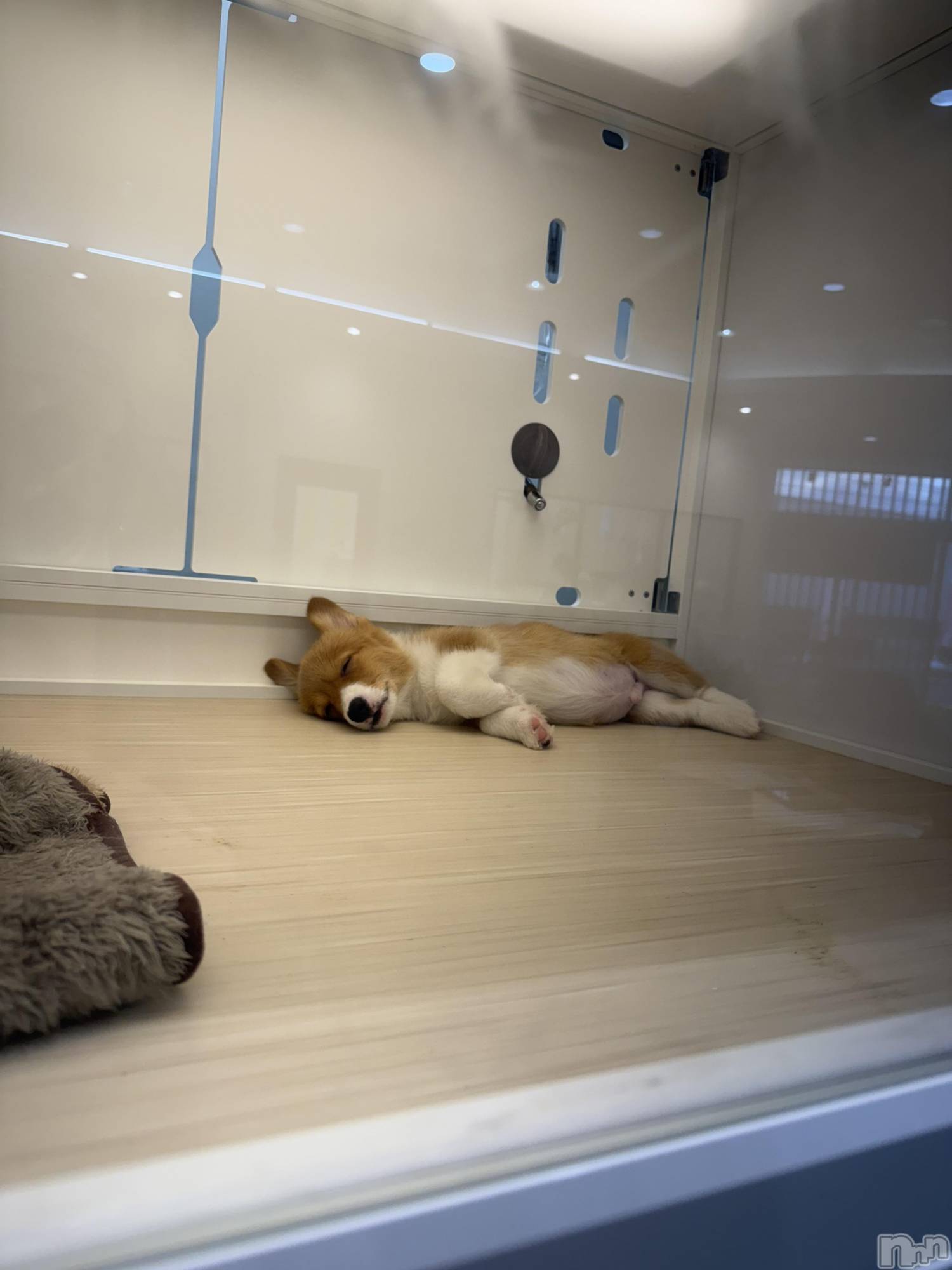 ��Ʋ����Х��顦�����clubTiara(�ƥ�����) ��2026ǯ3��13���̥�֥����֤����