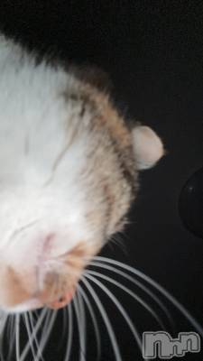 ƲХ顦clubTiara(ƥ) 󤫤1116̥֥֤