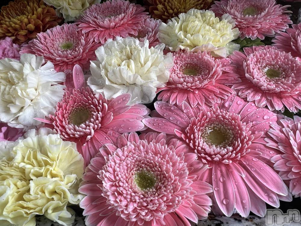 新潟メンズエステあろまえすて＠新潟(アロマエステアットニイガタ) 美音＊みおん(28)の12月24日写メブログ「ごめんなさい」