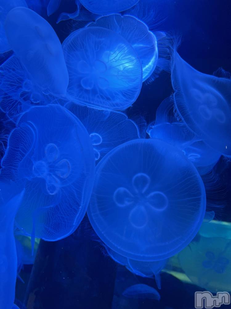 新潟メンズエステあろまえすて＠新潟(アロマエステアットニイガタ) 美音＊みおん(28)の1月13日写メブログ「ごめんなさい（ ;  ; ）」