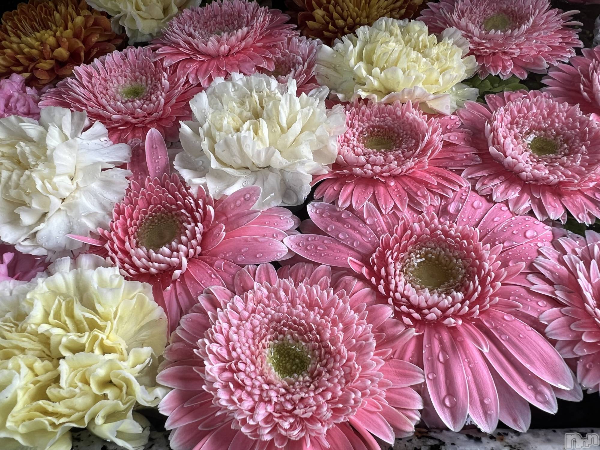 新潟メンズエステあろまえすて＠新潟(アロマエステアットニイガタ)美音＊みおん(28)の2025年12月24日写メブログ「ごめんなさい」