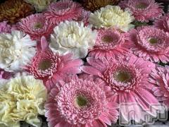 新潟メンズエステあろまえすて＠新潟(アロマエステアットニイガタ) 美音＊みおん(28)の12月24日写メブログ「ごめんなさい」