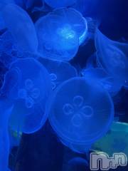 新潟メンズエステあろまえすて＠新潟(アロマエステアットニイガタ) 美音＊みおん(28)の1月13日写メブログ「ごめんなさい（ ;  ; ）」