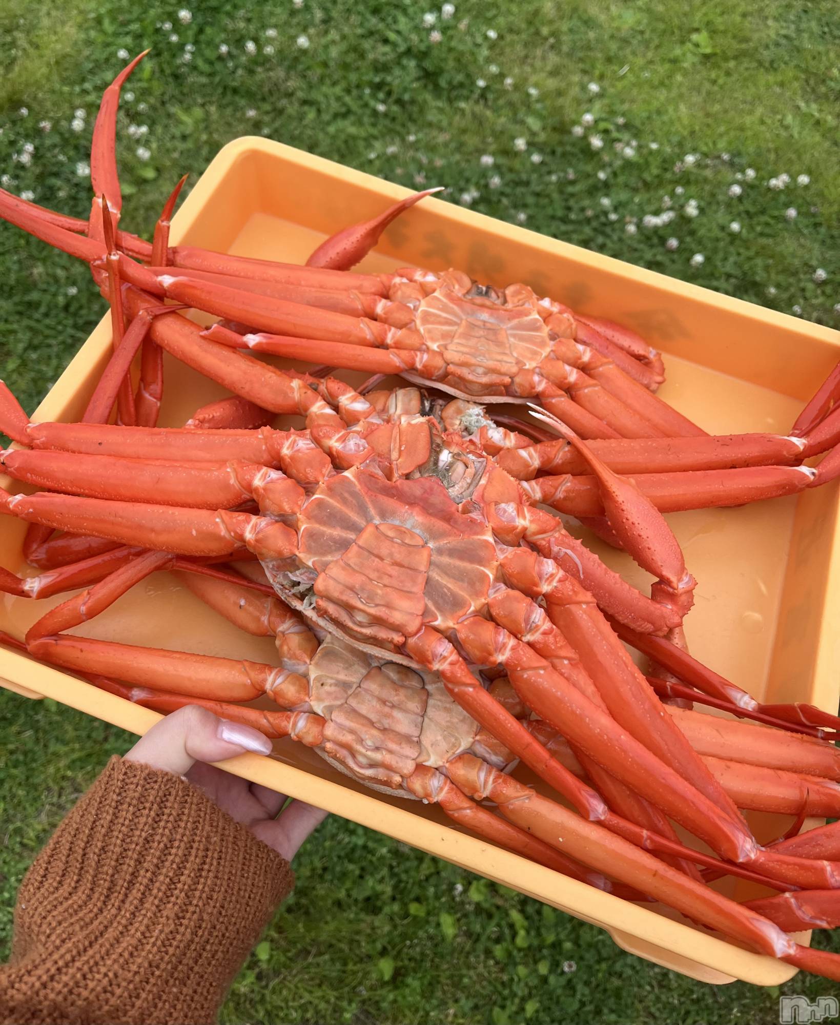 ƲХ顦Lounge en&.(饦󥸥) 2025ǯ68̥֥🦀