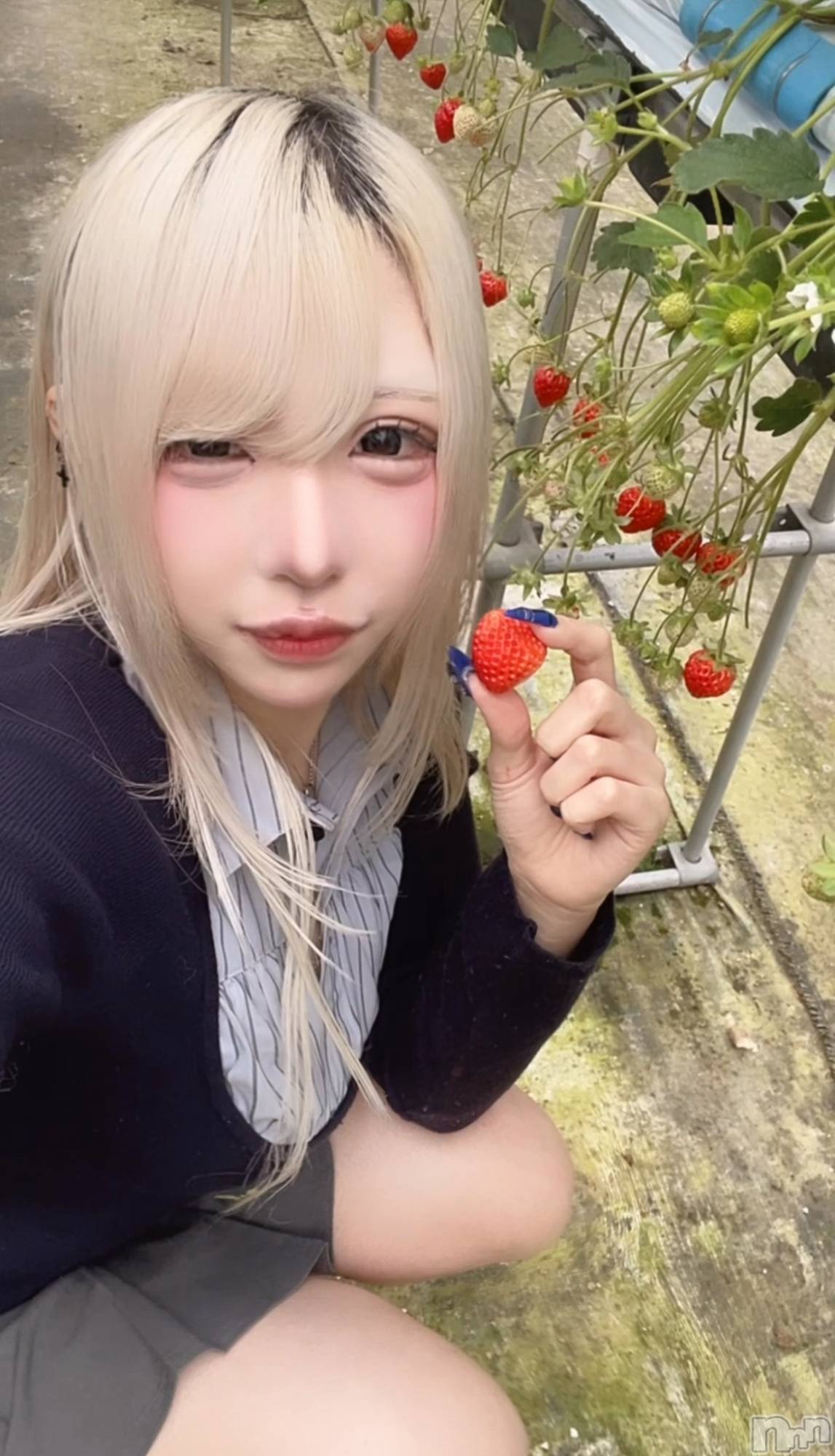 �����������Х��顦�����Souffle�� NIIGATA(���ե�˥�����) ��2026ǯ4��17���̥�֥����ֿ�����🍓✨��