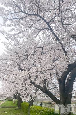 Х顦Souffle NIIGATA(ե˥) ֺ Ҥ(23)411ֲ̥֥Ȥζ᤯🥰