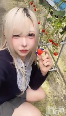 �����������Х��顦�����Souffle�� NIIGATA(���ե�˥�����) ���ֺ� �Ҥ�(24)��4��17���̥�֥����ֿ�����🍓✨��