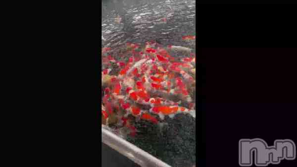 ¡Ö¸ñ¡©Îø¡©🥰¡×