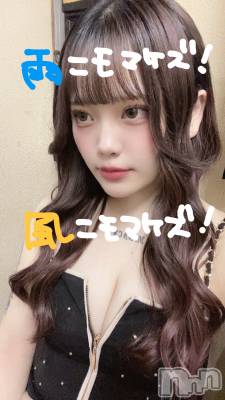 Х顦Souffle NIIGATA(ե˥)  (21)531̥֥֥Υ