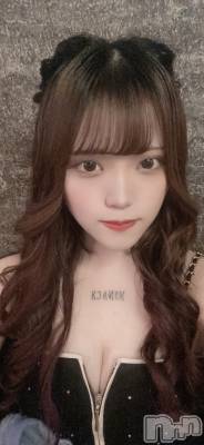  (21) Ĺ158cmХ顦 Souffle NIIGATA(ե˥)ҡ
