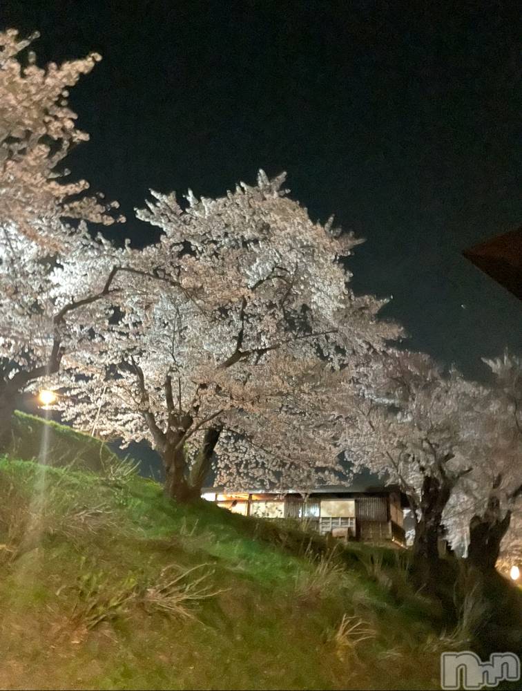 ܱХ顦() Ϥ424̥֥🌸
