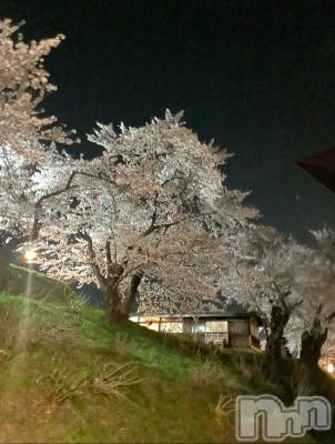 ܱХ顦() Ϥ(22)424̥֥🌸