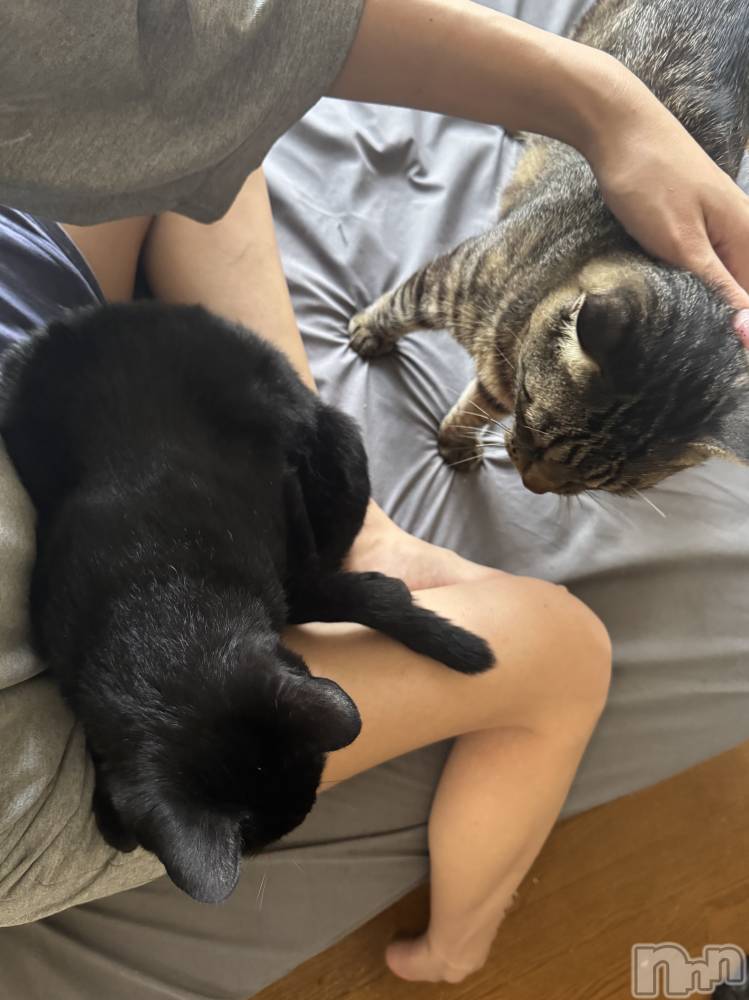 ܱХ顦() Ĥʤ825̥֥🐈🐈‍⬛⸒⸒⸒⸒🐾