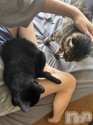 ܱХ顦() Ĥ(27)825̥֥🐈🐈‍⬛⸒⸒⸒⸒🐾