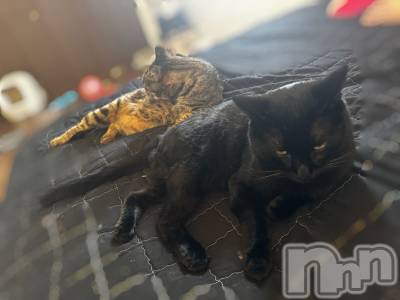 ܱХ顦() Ĥ(27)929̥֥🐱🐾