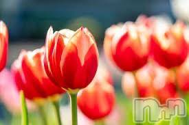 松本発デリヘル Revolution(レボリューション) りりか☆地元美人カフェ店員(28)の2月27日写メブログ「おはようございます♪」