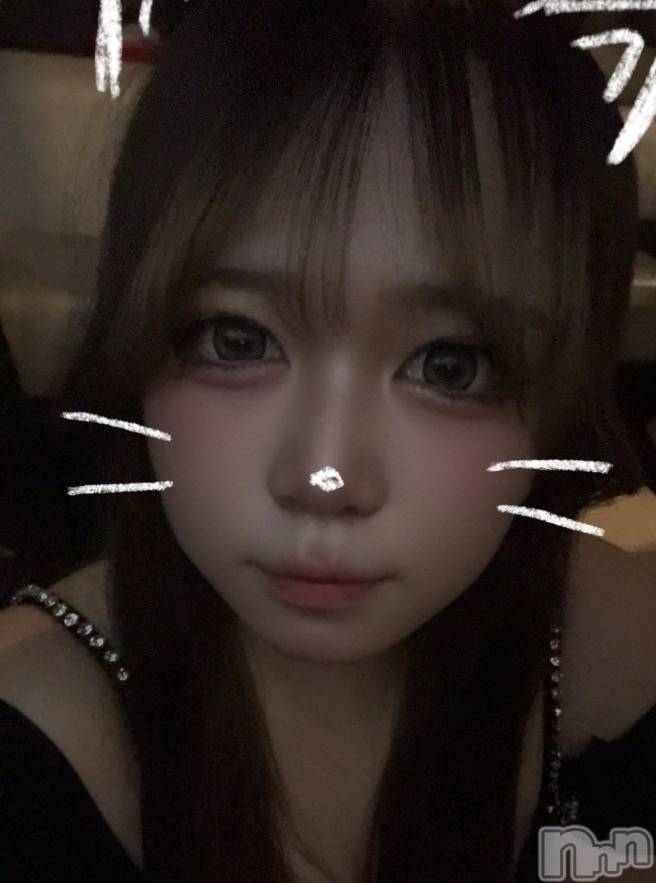 ȯѥ˥󥯥ֿ㥳 -㥳ѥ˥󥯥-(˥ -˥ѥ˥󥯥-) Ҥʤ122̥֥֤Ҥ