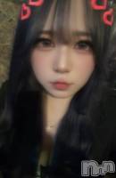 ����ȯ����ѥ˥��󥯥�ֿ��㥳��� -���㥳��ѥ˥��󥯥��-(�˥���������� -�˥���������ѥ˥��󥯥��-) �Ҥʤ���4��6���̥�֥����֤襤�襤�äƤ���